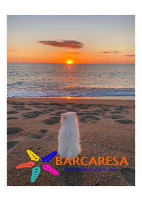 BARCARESA-Villa cosy en bord de mer, idéalement située